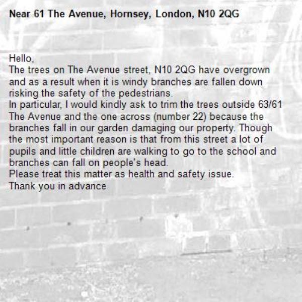 Hello, 
The trees on The Avenue street, N10 2QG have overgrown and as a result when it is windy branches are fallen down risking the safety of the pedestrians.
In particular, I would kindly ask to trim the trees outside 63/61 The Avenue and the one across (number 22) because the branches fall in our garden damaging our property. Though the most important reason is that from this street a lot of pupils and little children are walking to go to the school and branches can fall on people's head. 
Please treat this matter as health and safety issue.
Thank you in advance-61 The Avenue, Hornsey, London, N10 2QG