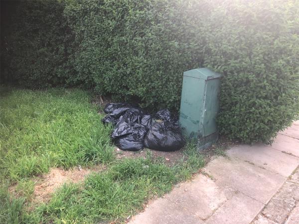 Junction of Shroffold Road. Please clear black bags from grass area-110 Churchdown, Bromley, BR1 5PQ
