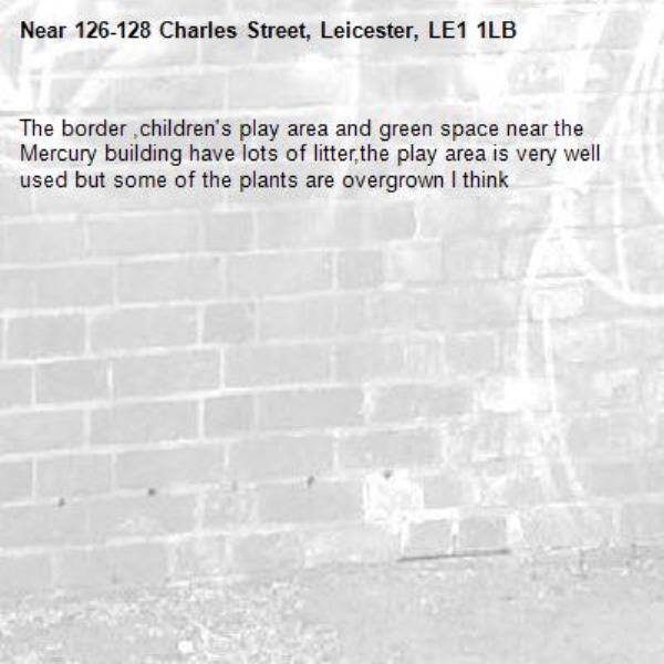 The border ,children's play area and green space near the Mercury building have lots of litter,the play area is very well used but some of the plants are overgrown I think-126-128 Charles Street, Leicester, LE1 1LB