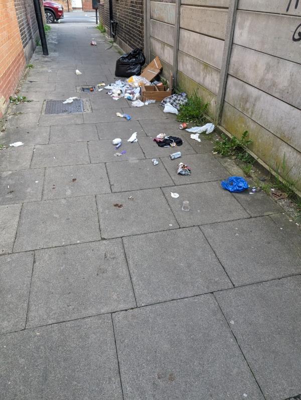 Items including human waste-326 Lonsdale Avenue, East Ham, London, E6 3PN