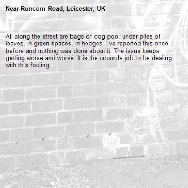 All along the street are bags of dog poo, under piles of leaves, in green spaces, in hedges. I’ve reported this once before and nothing was done about it. The issue keeps getting worse and worse. It is the councils job to be dealing with this fouling. -Runcorn Road, Leicester, UK