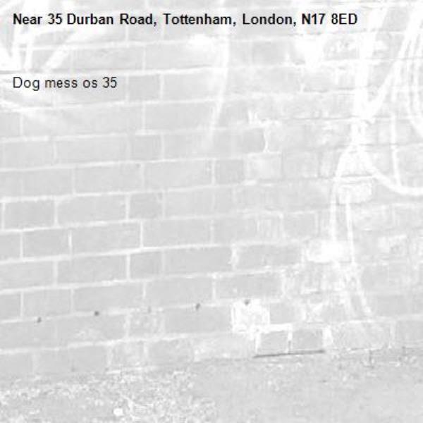 Dog mess os 35-35 Durban Road, Tottenham, London, N17 8ED