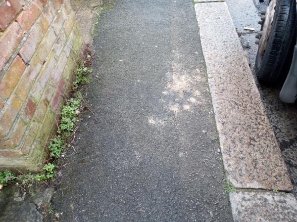 Washing down dog faeces from the pavement of Wilson Primary school -Reading Adult College, Wilson Road, Reading, RG30 2RW