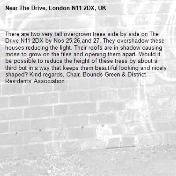 There are two very tall overgrown trees side by side on The Drive N11 2DX by Nos 25,26,and 27. They overshadow these houses reducing the light. Their roofs are in shadow causing moss to grow on the tiles and opening them apart. Would it be possible to reduce the height of these trees by about a third but in a way that keeps them beautiful looking and nicely shaped? Kind regards, Chair, Bounds Green &amp; District Residents’ Association.-The Drive, London N11 2DX, UK