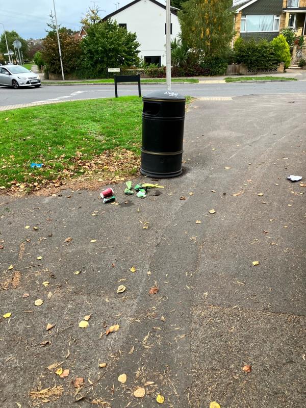 Some of the contents of the bin is on the floor including dog waste-99 Hildens Drive, Tilehurst, RG31 5JA, England, United Kingdom