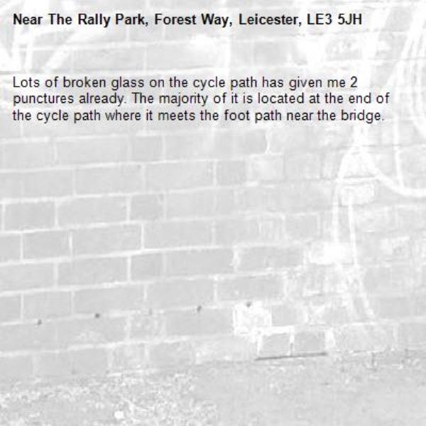 Lots of broken glass on the cycle path has given me 2 punctures already. The majority of it is located at the end of the cycle path where it meets the foot path near the bridge. -The Rally Park, Forest Way, Leicester, LE3 5JH