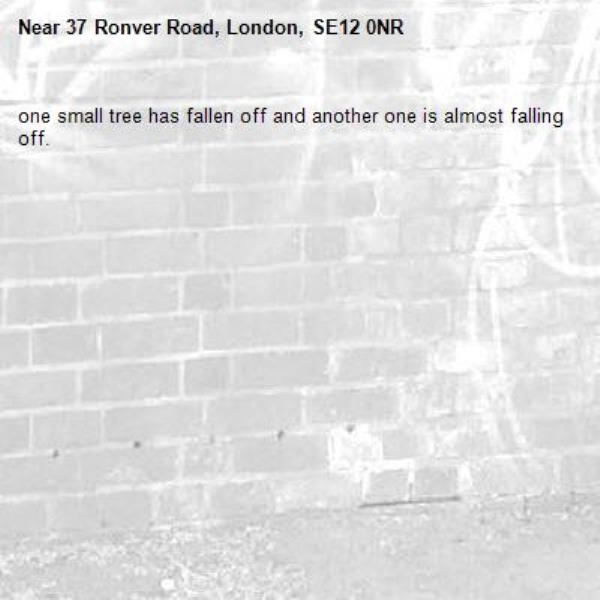one small tree has fallen off and another one is almost falling off. -37 Ronver Road, London, SE12 0NR