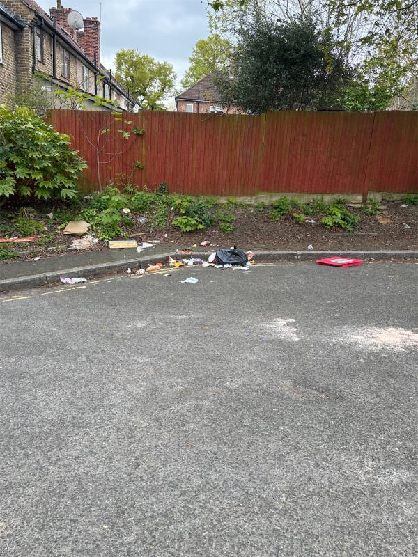 Bins were emptied today and this is the mess that has been left!-406 Baring Road, London, SE12 0EF