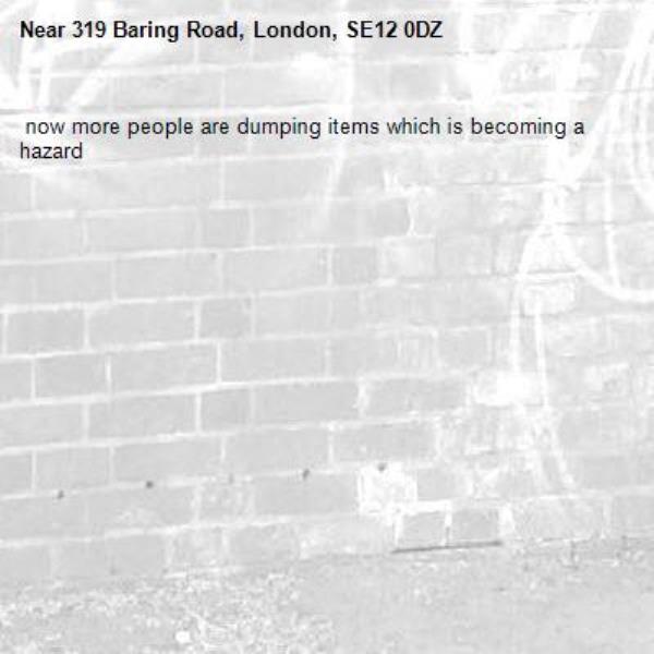  now more people are dumping items which is becoming a hazard -319 Baring Road, London, SE12 0DZ