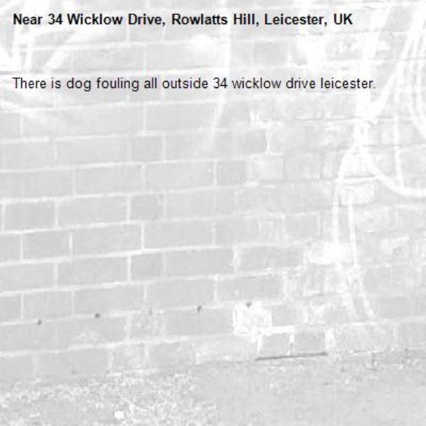There is dog fouling all outside 34 wicklow drive leicester.-34 Wicklow Drive, Rowlatts Hill, Leicester, UK