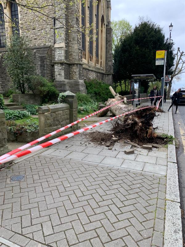 This was apparently hit by a bus (?) and it’s cordoned off so assuming someone on here knows about it but just in case they don’t… -Flat 1, 102 Pepys Road, London, SE14 5SG