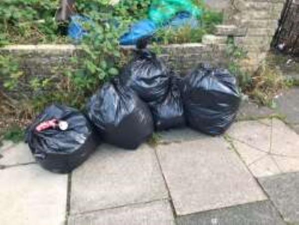 Somebody has dumped a load of black bags outside my house they have been there for about 5 days
Reported via Fix My Street-13 Shaw Road, Bromley, BR1 5NW
