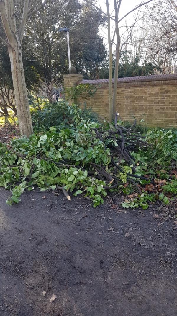 A lot of cuttings from elsewhere in the park have been dumped near the entrance-158 Risley Avenue, Tottenham, N17 7ER