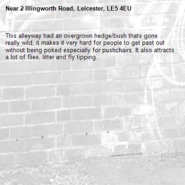 This alleyway had an overgrown hedge/bush thats gone really wild, it makes it very hard for people to get past out without being poked especially for pushchairs. It also attracts a lot of flies, litter and fly tipping.-2 Illingworth Road, Leicester, LE5 4EU