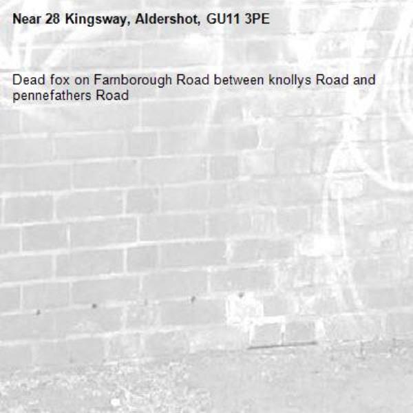 Dead fox on Farnborough Road between knollys Road and pennefathers Road -28 Kingsway, Aldershot, GU11 3PE