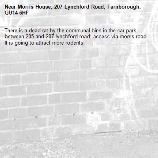There is a dead rat by the communal bins in the car park between 205 and 207 lynchford road: access via morris road. It is going to attract more rodents -Morris House, 207 Lynchford Road, Farnborough, GU14 6HF