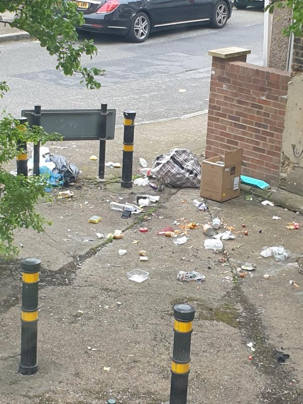 Bins dumped by the residents of 2 Torrens Road have been torn open by foxes and spread across the footpath and road. -2 Torrens Road, Stratford, London, E15 4NA