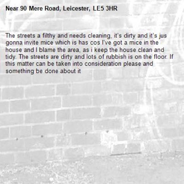 The streets a filthy and needs cleaning, it’s dirty and it’s jus gonna invite mice which is has cos I’ve got a mice in the house and I blame the area, as i keep the house clean and tidy. The streets are dirty and lots of rubbish is on the floor. If this matter can be taken into consideration please and something be done about it -90 Mere Road, Leicester, LE5 3HR