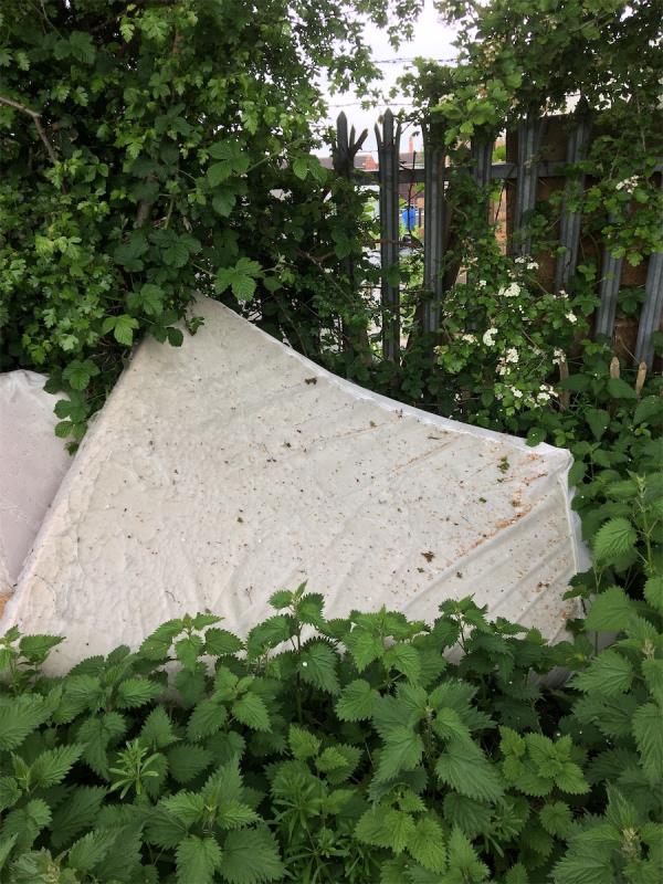 Mattress in hedgerow alongside path just after football pavilion. -Magnus Road, Leicester