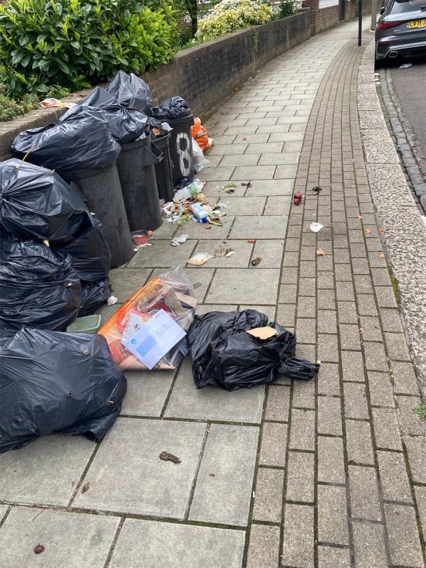 Every single week someone or many in these household put out rubbish that’s not secure for foxes and every single week it’s scattered all down the street and not tidied up.  Re-occurrence of this should be an offence like fly-tipping.  -68 Sarsfeld Road, London, SW12 8HP