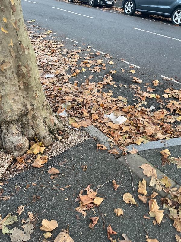 Ahh so beautiful when the leaves rot and mix with the rubbish. Proud to live in a borough so on it with one of the oldest responsibilities of councils. Well done Newham. Well done. And well done to whoever’s job it is every time to just say ‘this will be cleaned on the next weekly clean thank you’. To keep going writing the same thing each time takes some resolve. -132 New City Road, Plaistow, London, E13 9PY