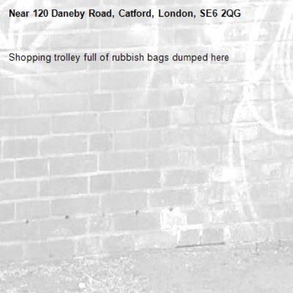 Shopping trolley full of rubbish bags dumped here-120 Daneby Road, Catford, London, SE6 2QG