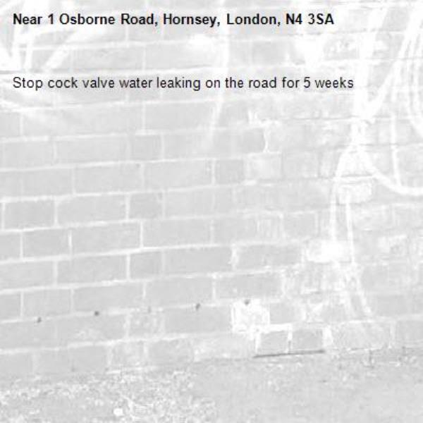 Stop cock valve water leaking on the road for 5 weeks -1 Osborne Road, Hornsey, London, N4 3SA