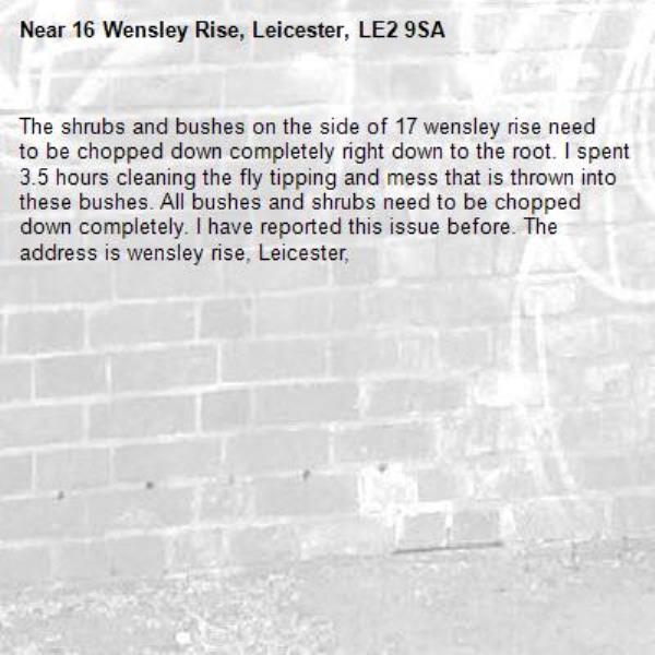 The shrubs and bushes on the side of 17 wensley rise need to be chopped down completely right down to the root. I spent 3.5 hours cleaning the fly tipping and mess that is thrown into these bushes. All bushes and shrubs need to be chopped down completely. I have reported this issue before. The address is wensley rise, Leicester, -16 Wensley Rise, Leicester, LE2 9SA