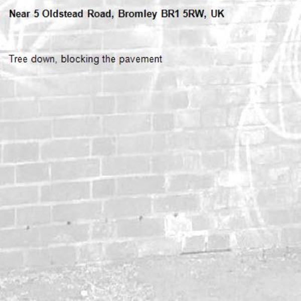 Tree down, blocking the pavement -5 Oldstead Road, Bromley BR1 5RW, UK