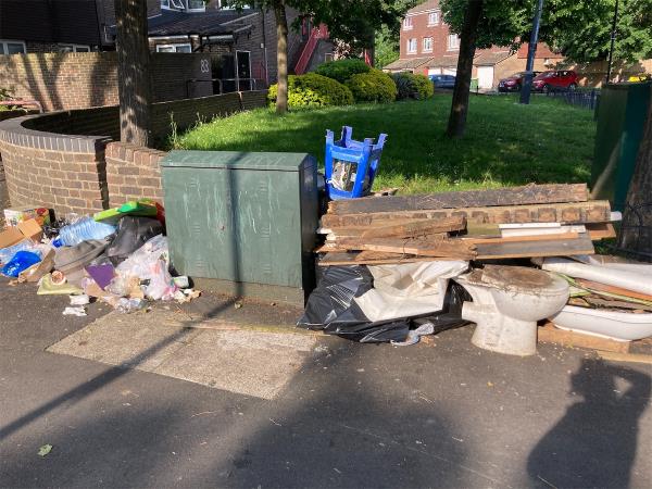 Various waste including a loo-83 Hoskins Close, Canning Town, London, E16 3RU
