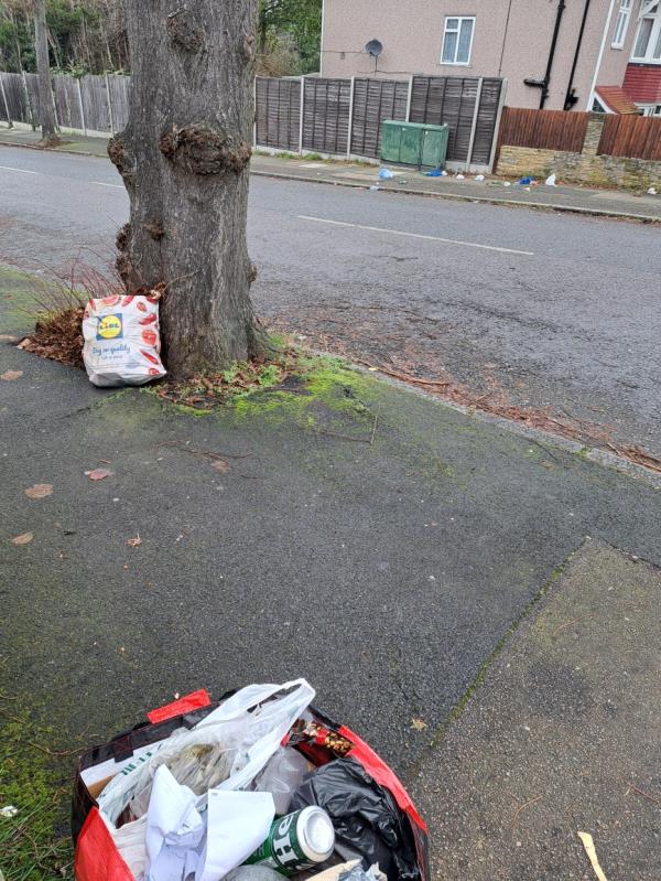 2 bags of rubbish dumped by first street tree. Scattered rubbish from torn bag on other side of Daneby Road.-132 Thornsbeach Road, Hither Green, SE6 1HB, England, United Kingdom