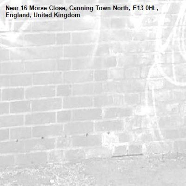 -16 Morse Close, Canning Town North, E13 0HL, England, United Kingdom