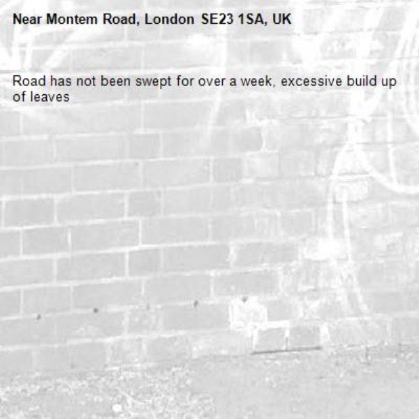 Road has not been swept for over a week, excessive build up of leaves-Montem Road, London SE23 1SA, UK