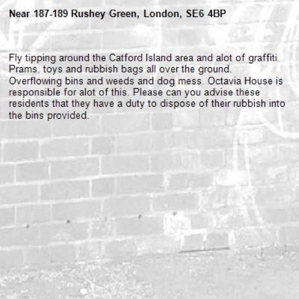 Fly tipping around the Catford Island area and alot of graffiti. Prams, toys and rubbish bags all over the ground. Overflowing bins and weeds and dog mess. Octavia House is responsible for alot of this. Please can you advise these residents that they have a duty to dispose of their rubbish into the bins provided. -187-189 Rushey Green, London, SE6 4BP