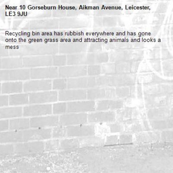 Recycling bin area has rubbish everywhere and has gone onto the green grass area and attracting animals and looks a mess-10 Gorseburn House, Aikman Avenue, Leicester, LE3 9JU