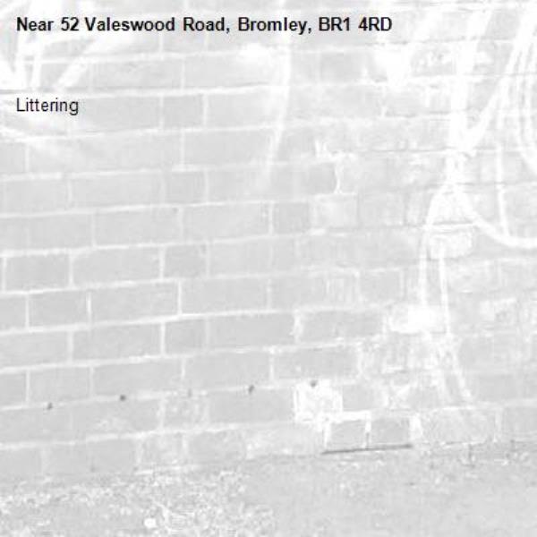 Littering-52 Valeswood Road, Bromley, BR1 4RD