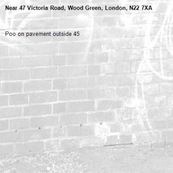 Poo on pavement outside 45-47 Victoria Road, Wood Green, London, N22 7XA