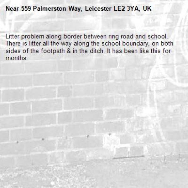 Litter problem along border between ring road and school. There is litter all the way along the school boundary, on both sides of the footpath &amp; in the ditch. It has been like this for months.-559 Palmerston Way, Leicester LE2 3YA, UK