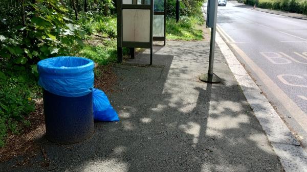 Litter pick bag for collection -Horniman Triangle