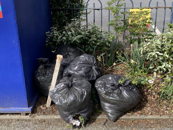 4 heavy bags of garden waste, probably driven  to the clothes pod by clarendon rise car park, dumped snd crushed shrubs in newly planted community run green space  -again-Gilmore road/clarendon rise
