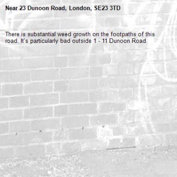 There is substantial weed growth on the footpaths of this road. It's particularly bad outside 1 - 11 Dunoon Road.-23 Dunoon Road, London, SE23 3TD