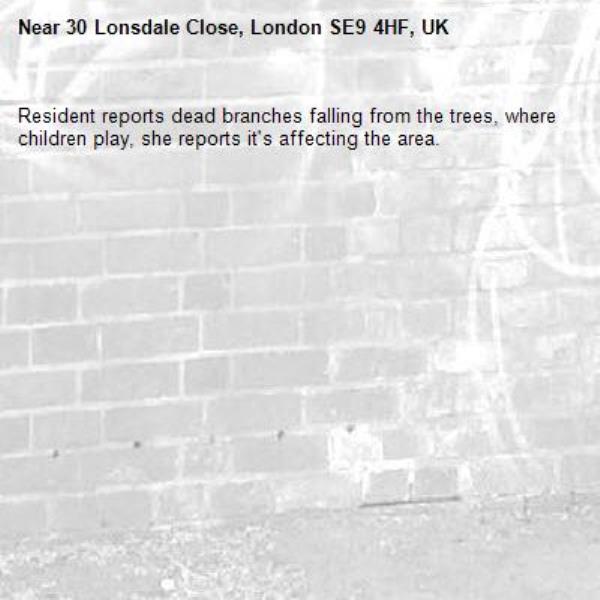 Resident reports dead branches falling from the trees, where children play, she reports it's affecting the area. -30 Lonsdale Close, London SE9 4HF, UK