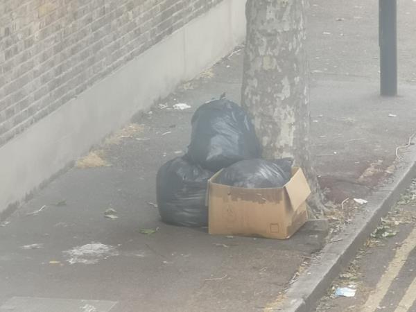 Rubbish dumped -53 Frinton Road, East Ham, E6 3EZ