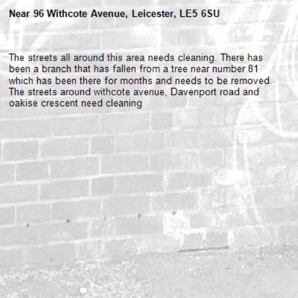 The streets all around this area needs cleaning. There has been a branch that has fallen from a tree near number 81 which has been there for months and needs to be removed. The streets around withcote avenue, Davenport road and oakise crescent need cleaning -96 Withcote Avenue, Leicester, LE5 6SU