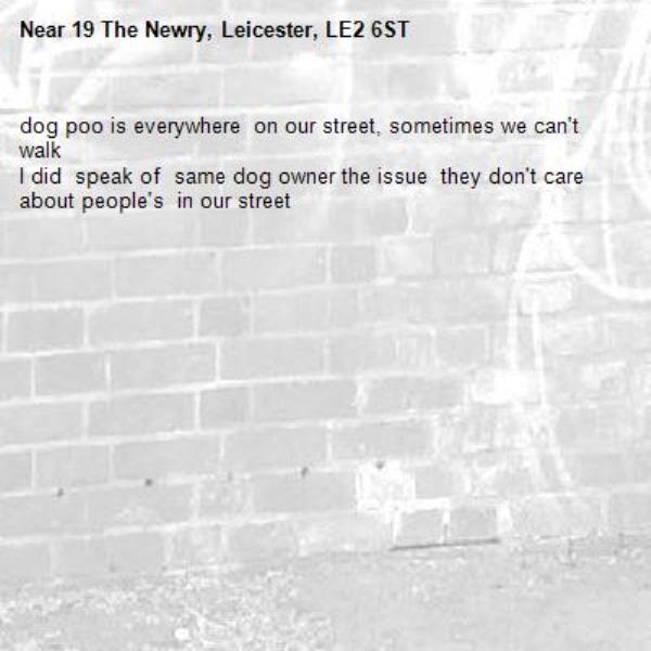 dog poo is everywhere  on our street, sometimes we can't walk  
I did  speak of  same dog owner the issue  they don't care  about people's  in our street -19 The Newry, Leicester, LE2 6ST