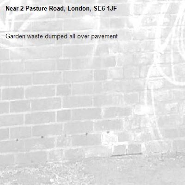 Garden waste dumped all over pavement -2 Pasture Road, London, SE6 1JF