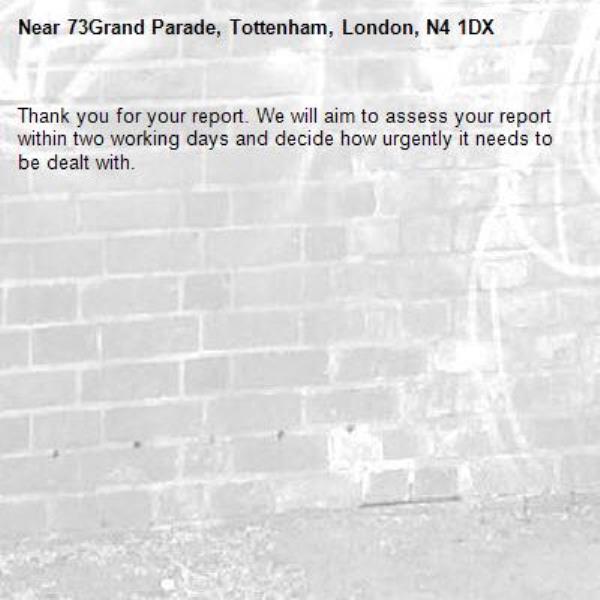Thank you for your report. We will aim to assess your report within two working days and decide how urgently it needs to be dealt with.-73Grand Parade, Tottenham, London, N4 1DX