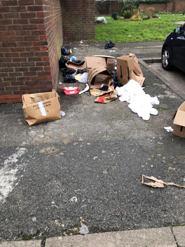 Another day another pile of rubbish-22 Walnut Gardens, London, E15 1LL