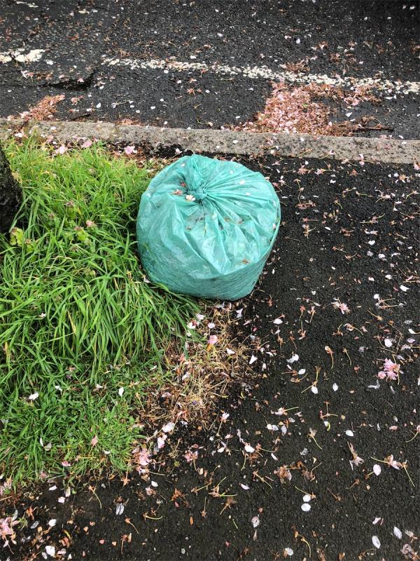 Please clear a dumped bag-34 Glenbow Road, Bromley, BR1 4RW