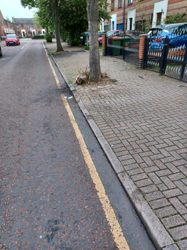 Can the council arrange for Gristwood&Tom's to collect this section of  tree  that  has been dumped outside 18 Swallow Street Beckton. Thanks -14 Swallow Street, Beckton, London, E6 5JX